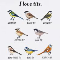 I Love Tits Birdwatching Bird Lover Gift Wool Snapback Cap
