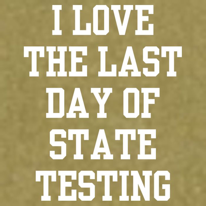 I Love The Last Day Of State Testing Funny Sarcastic Quotes Garment-Dyed Women's Muscle Tee