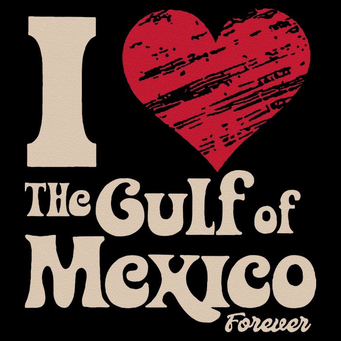 I Love The Gulf Of Mexico Forever Sweatshirt