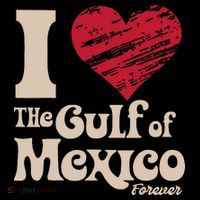 I Love The Gulf Of Mexico Forever Women's V-Neck T-Shirt