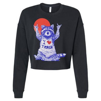 I Love Trash Raccoon Japanese Retro Style Cropped Pullover Crew