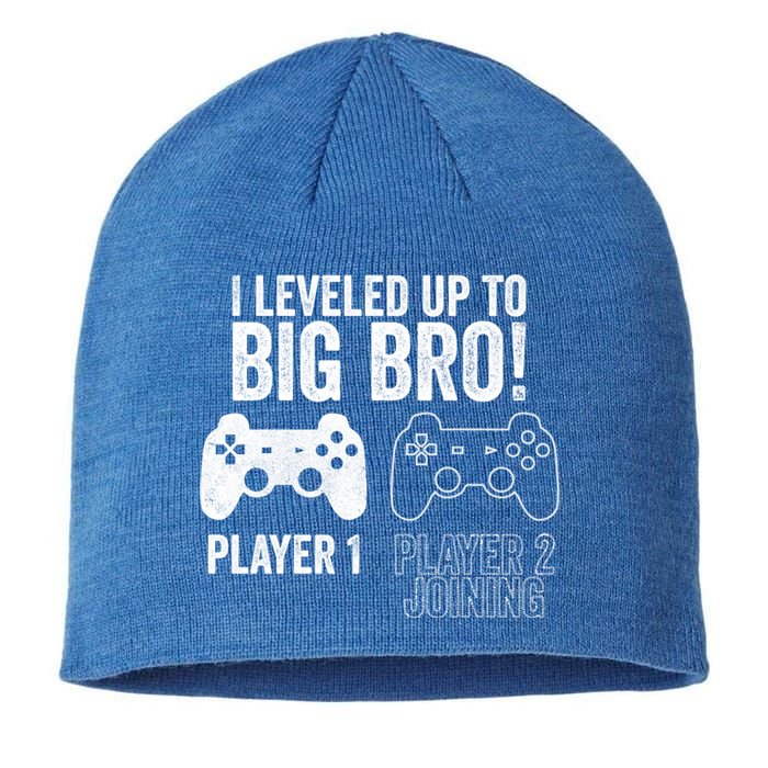 I Leveled Up To Big Bro! New Older Brother Gamer Player 2 Gift Sustainable Beanie