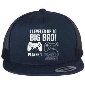 I Leveled Up To Big Bro! New Older Brother Gamer Player 2 Gift Flat Bill Trucker Hat