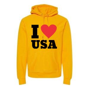 I Love Usa I Heart Usa Family Travel Usa Gift Premium Hoodie