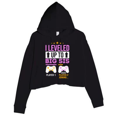 I Leveled Up To Big Sis Player 2 Joining 2024 Cute Crop Fleece Hoodie