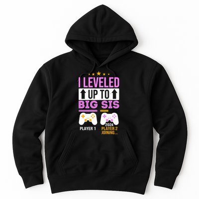 I Leveled Up To Big Sis Player 2 Joining 2024 Hoodie
