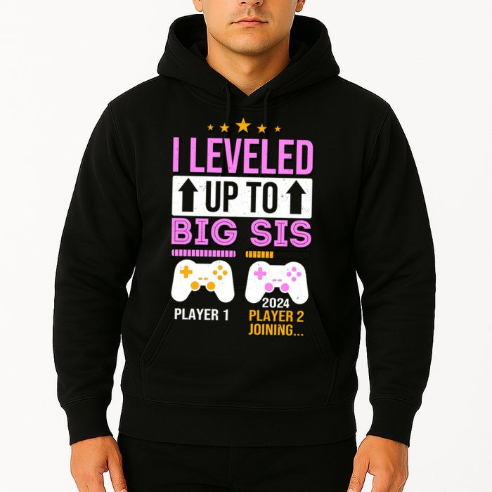I Leveled Up To Big Sis Player 2 Joining 2024 Hoodie