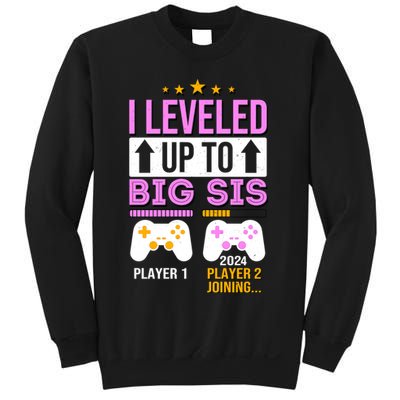 I Leveled Up To Big Sis Player 2 Joining 2024 Sweatshirt