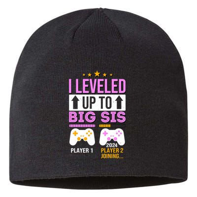 I Leveled Up To Big Sis Player 2 Joining 2024 Sustainable Beanie