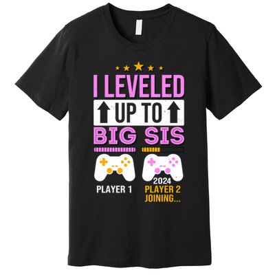 I Leveled Up To Big Sis Player 2 Joining 2024 Premium T-Shirt