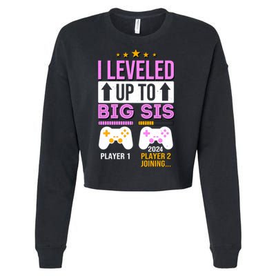 I Leveled Up To Big Sis Player 2 Joining 2024 Cropped Pullover Crew