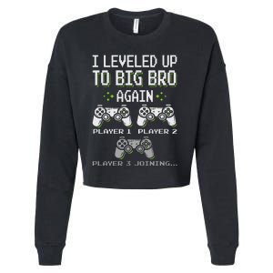 I Leveled Up To Big Bro Again Brother Gamer Funny Video Game Cropped Pullover Crew