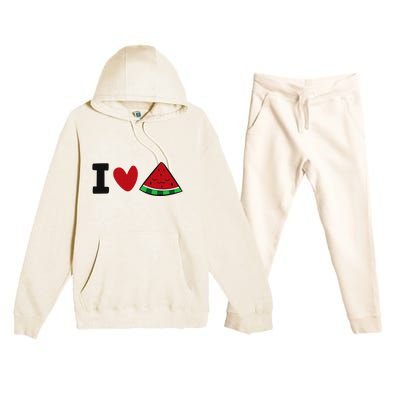 I Love Watermelon Summer Fruit Watermelon Premium Hooded Sweatsuit Set