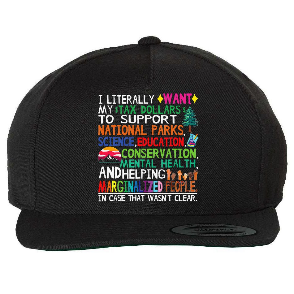 I Literally Want My Tax Dollars To Support National Parks Wool Snapback Cap