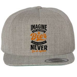 Imagine Life Without Beer Design Bbq Beer Freedom Funny Gift Wool Snapback Cap