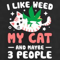I Like Weed My Cat Maybe 3 People 420 Cannabis Stoner Gift 7 Panel Mesh Trucker Snapback Hat