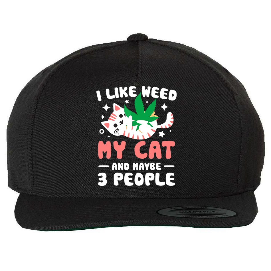 I Like Weed My Cat Maybe 3 People 420 Cannabis Stoner Gift Wool Snapback Cap