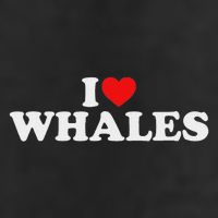 I Love Whales 7 Panel Mesh Trucker Snapback Hat