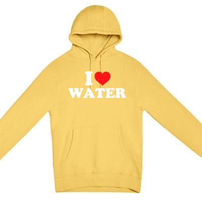 I Love Water Great Gift Premium Pullover Hoodie