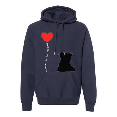 I Love You With All My Heart Valentines Day Cat Kitten Love Premium Hoodie