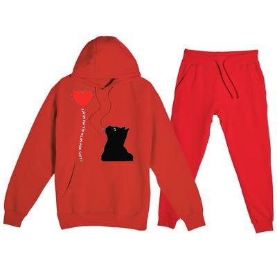 I Love You With All My Heart Valentines Day Cat Kitten Love Premium Hooded Sweatsuit Set