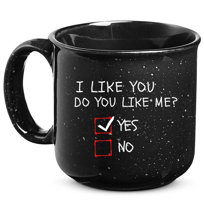 I Like You Do You Like Me Yes Or No Cute Conversation Starter Romantic Humor 15oz Campfire Ceramic Mug