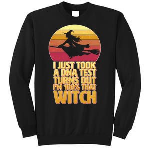 I'm 100 That Witch DNA Test Funny Halloween Sweatshirt