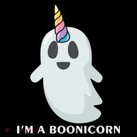 I'm A Boonicorn Funny Ghost Hoodie