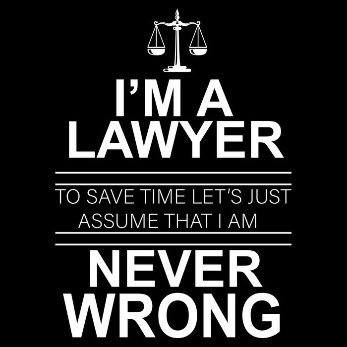 I'm a Lawyer Let's Assume I'm Never Wrong Toddler Hoodie