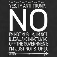 I'm Anti Trump Not Stupid Adult Drive Performance Visor