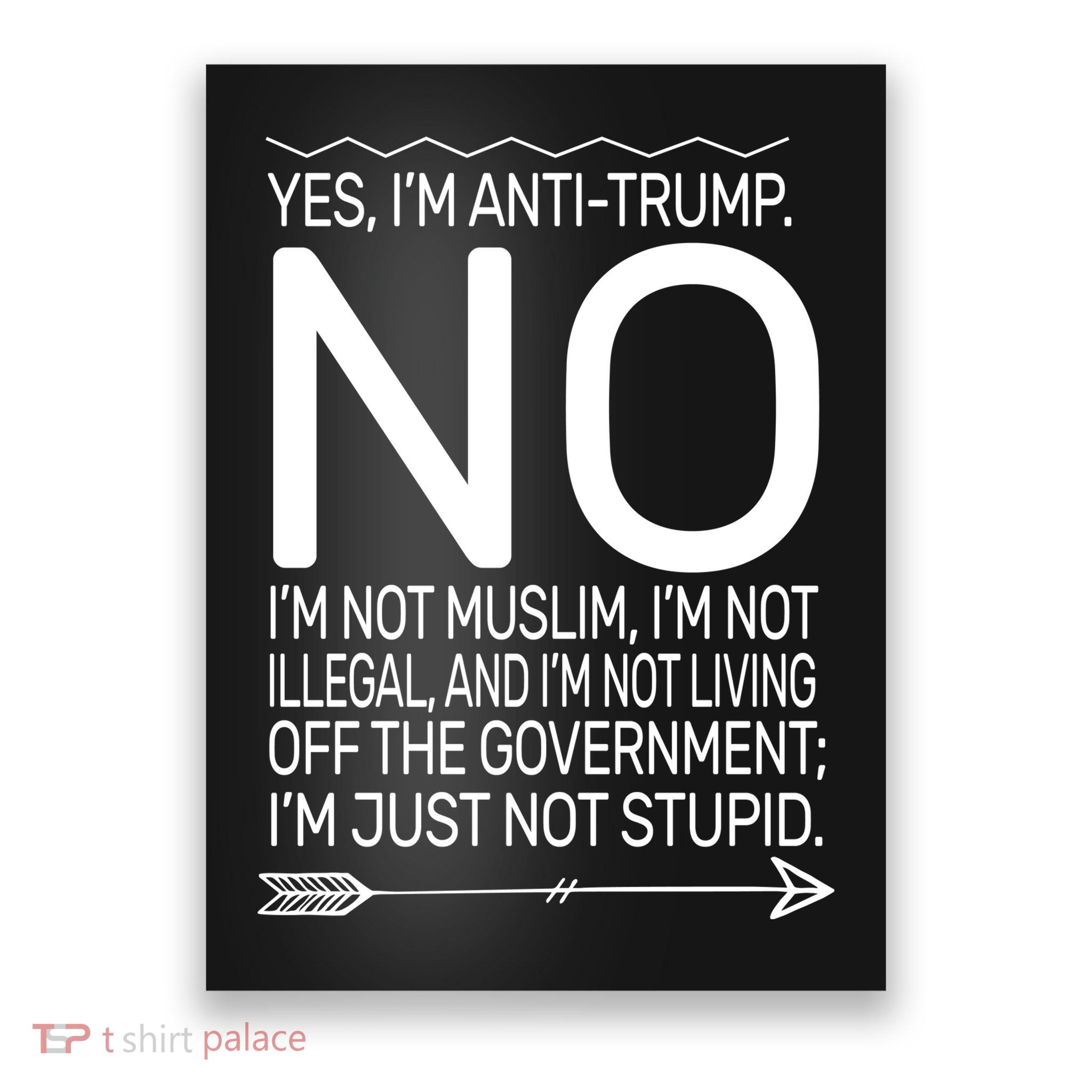 I'm Anti Trump Not Stupid Poster