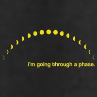 I'm Going Through A Phase Tumbler