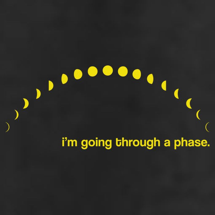 I'm Going Through A Phase Tumbler
