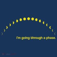 I'm Going Through A Phase T-Shirt