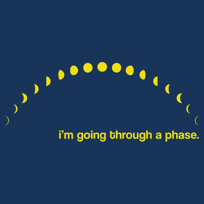 I'm Going Through A Phase Womens T-Shirt