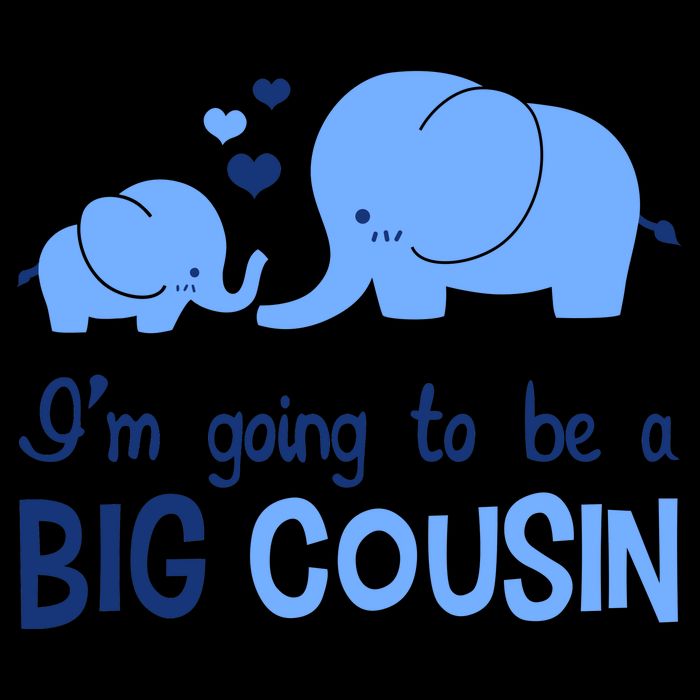I'm Going To Be A Big Cousin Boy Elephant Wool Snapback Cap
