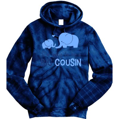 I'm Going To Be A Big Cousin Boy Elephant Tie Dye Hoodie