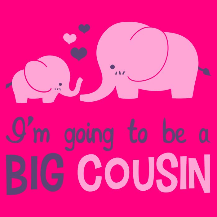 I'm Going To Be A Big Cousin Girl Elephant Kids Hoodie