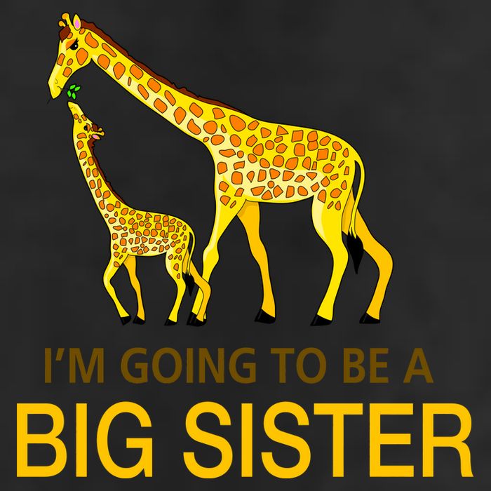 I'm Going To Be A Big Sister 7 Panel Mesh Trucker Snapback Hat