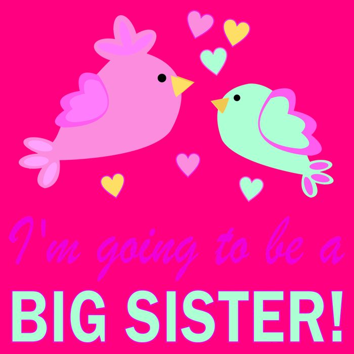 I'm Going to Be Big Sister Bird Kids T-Shirt