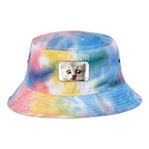 I'm Here Live I'm Not A Cat Zoom Lawyer Cat Meme Tie Dye Newport Bucket Hat