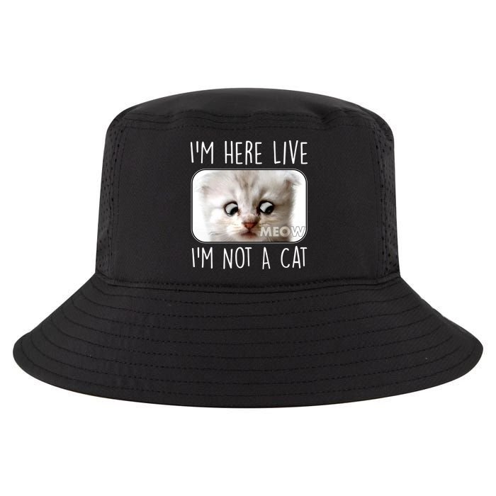 I'm Here Live I'm Not A Cat Zoom Lawyer Cat Meme Cool Comfort Performance Bucket Hat