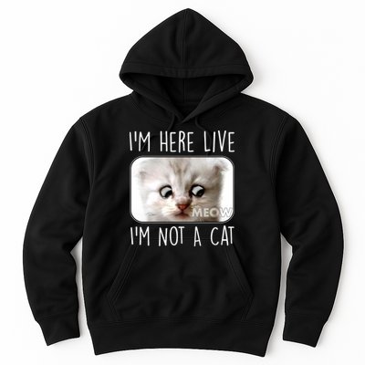 I'm Here Live I'm Not A Cat Zoom Lawyer Cat Meme Hoodie