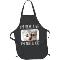 I'm Here Live I'm Not A Cat Zoom Lawyer Cat Meme Apron