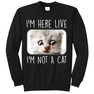 I'm Here Live I'm Not A Cat Zoom Lawyer Cat Meme Sweatshirt