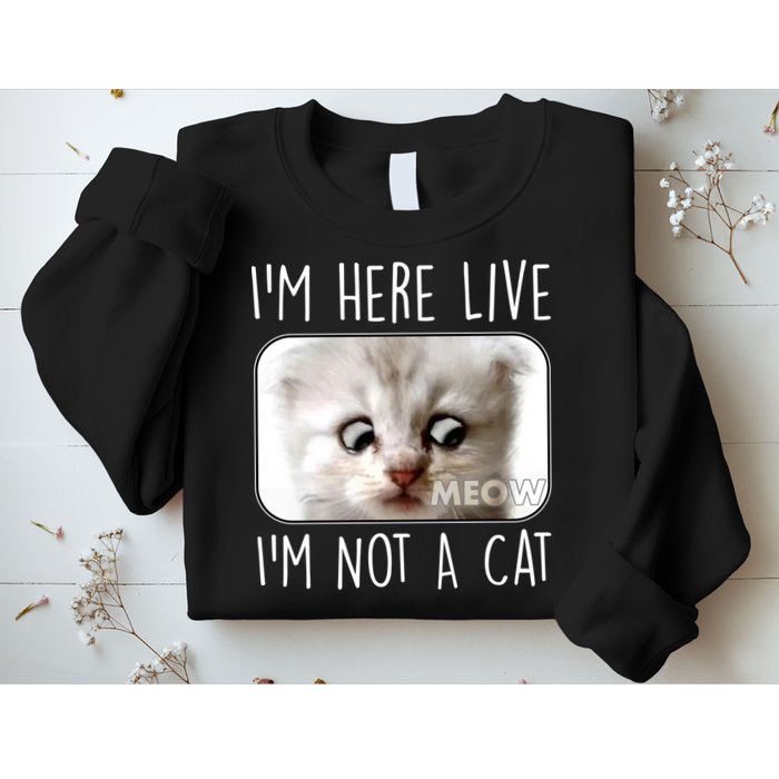 I'm Here Live I'm Not A Cat Zoom Lawyer Cat Meme Sweatshirt