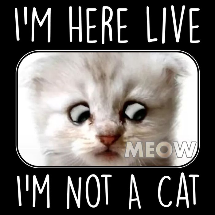 I'm Here Live I'm Not A Cat Zoom Lawyer Cat Meme T-Shirt