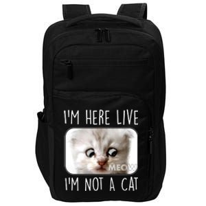 I'm Here Live I'm Not A Cat Zoom Lawyer Cat Meme Impact Tech Backpack