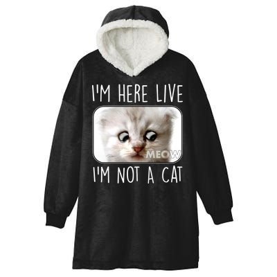 I'm Here Live I'm Not A Cat Zoom Lawyer Cat Meme Hooded Wearable Blanket