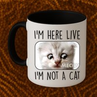 I'm Here Live I'm Not A Cat Zoom Lawyer Cat Meme Mug